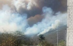 Incendios en Maltrata, Nogales y Soledad Atzompa ponen en jaque a autoridades y bomberos