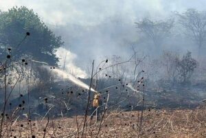 Incendios en Maltrata, Nogales y Soledad Atzompa ponen en jaque a autoridades y bomberos