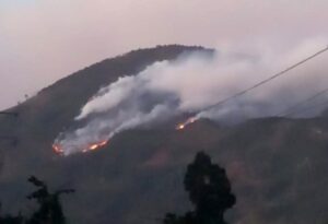 Incendios en Maltrata, Nogales y Soledad Atzompa ponen en jaque a autoridades y bomberos