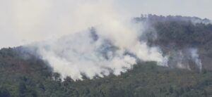 Autoridades Municipales de Rafael Delgado continúan combatiendo incendio forestal entre Omiquila y Tzoncolco