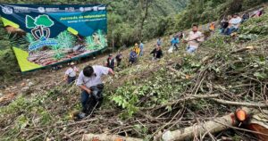 Autoridades y pobladores de Rafael Delgado reforestan en Tzoncolco y Omiquila 