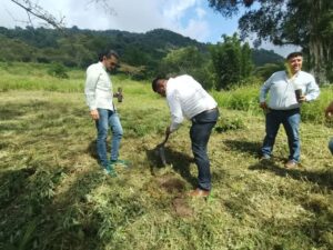 PVEM tiene el reto de sembrar más de 250 árboles para reforestar en la región de Zongolica