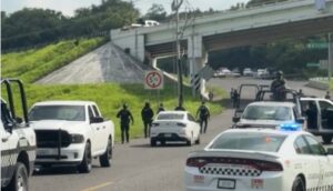 Abandonan restos humanos sobre la carretera Poza Rica- Cazones en Veracruz