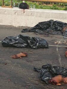 Abandonan restos humanos sobre la carretera Poza Rica- Cazones en Veracruz