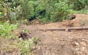 Muere conductor tras irse su unidad al vacío en la federal Zongolica-Orizaba