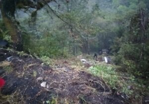 Continúan los accidentes automovilísticos en la federal Orizaba-Zongolica