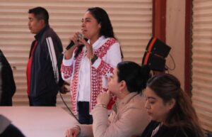 C.P. Celia García Rodríguez, presidenta municipal de Mixtla de Altamirano 