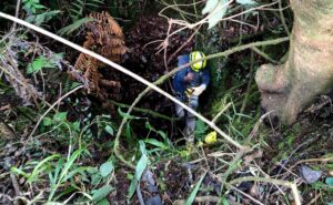 Implementan operativo de búsqueda para localizar a joven con discapacidad del habla en Tequila