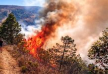 Se registra el primer incendio forestal de 2026 en la Sierra Negra