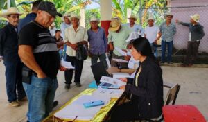 Autoridades refuerzan combate a plagas en cafetales de Zongolica