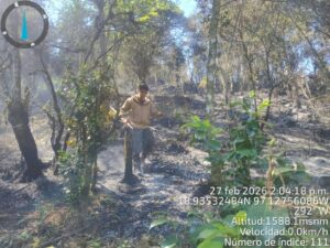 Actuación oportuna evita que incendio de pastizal se extendiera en La Perla